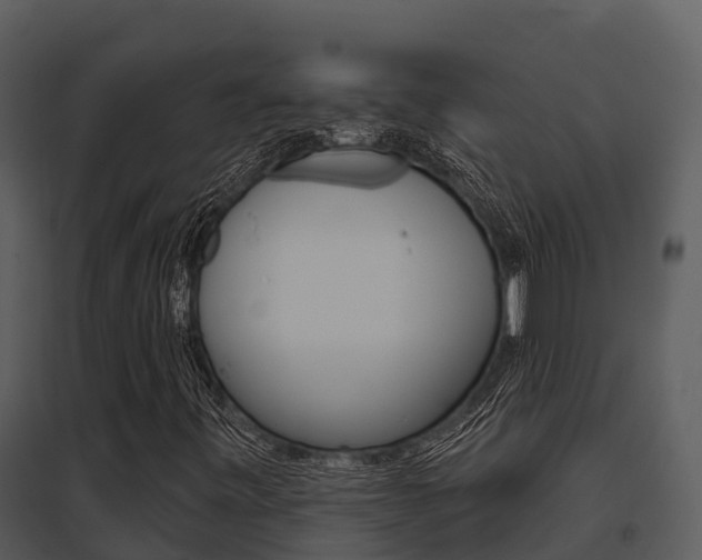 X0000095681443200801081052