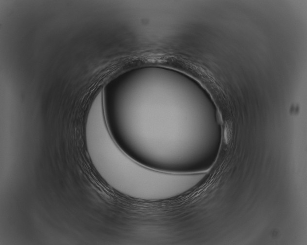X0000095681444200801081052