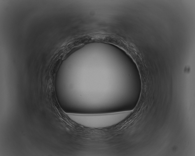 X0000095681445200801081052