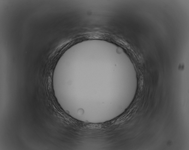 X0000095681446200801081052