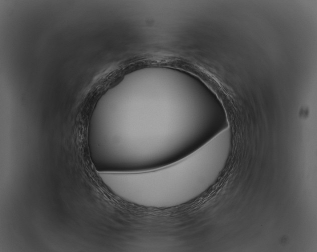 X0000095681447200801081052