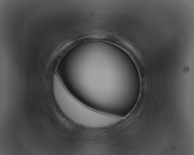 X0000095681448200801081052