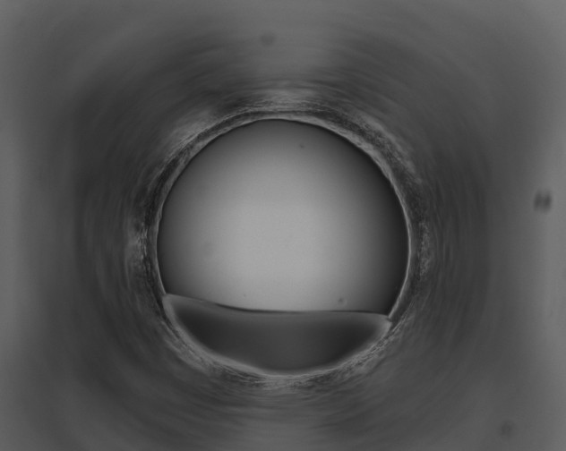 X0000095681449200801081052