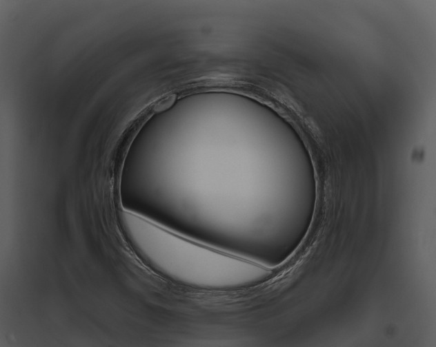 X0000095681450200801081052