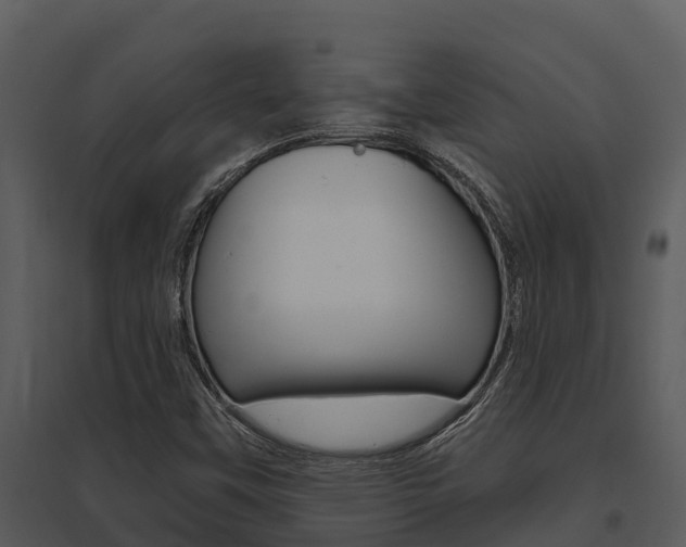 X0000095681451200801081052