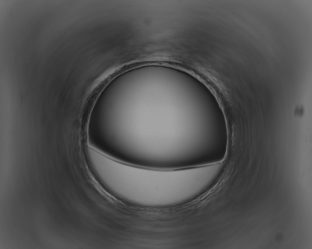 X0000095681452200801081052