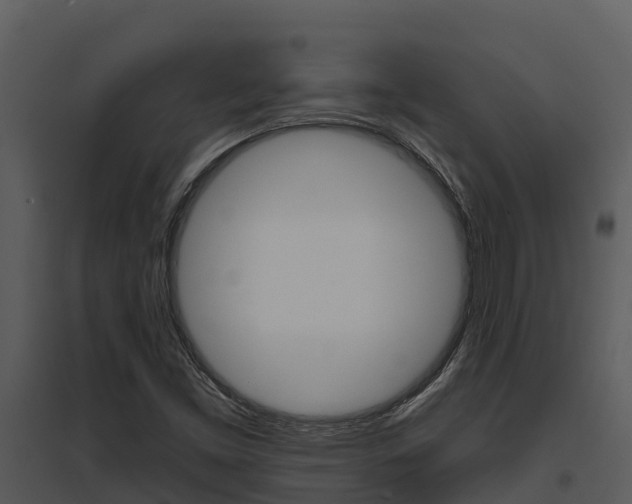 X0000095681453200801081052