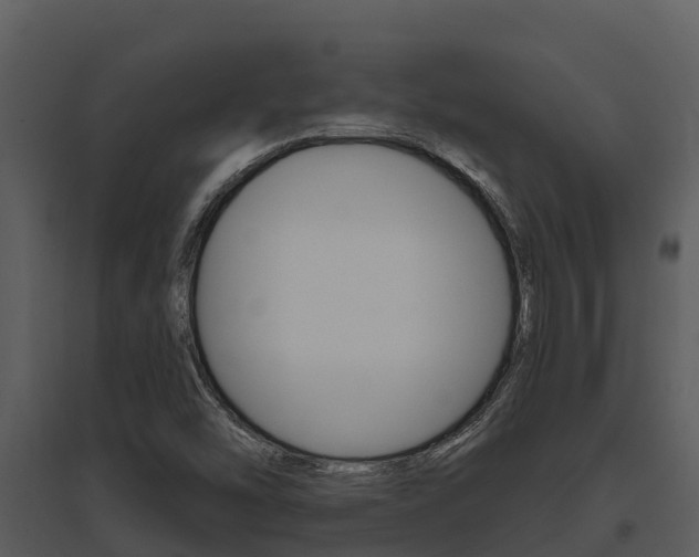 X0000095681454200801081052