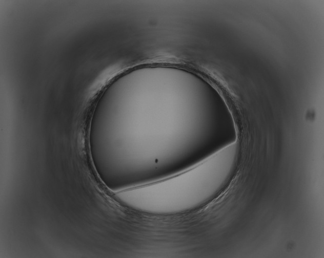 X0000095681455200801081052