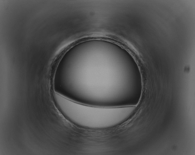 X0000095681456200801081052