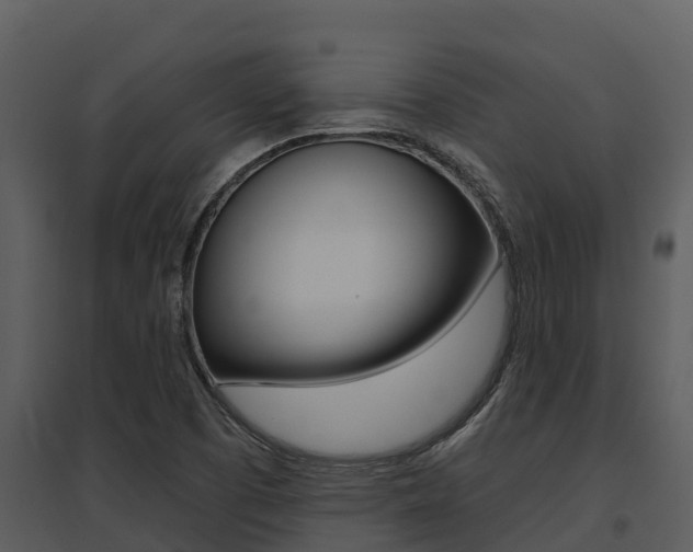 X0000095681457200801081052
