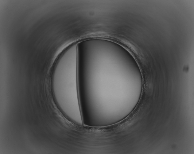 X0000095681458200801081052