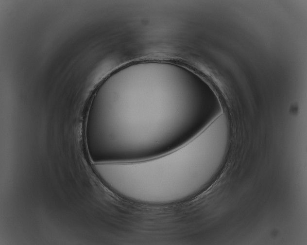 X0000095681459200801081052