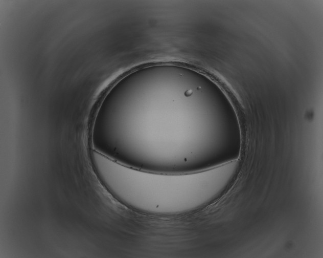 X0000095681460200801081052