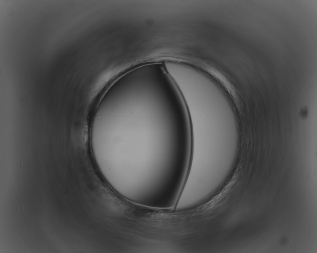X0000095681461200801081052