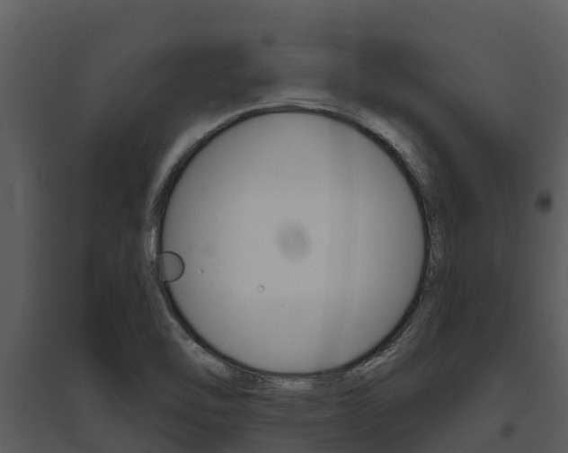 X0000095681462200801081052
