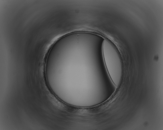 X0000095681463200801081052