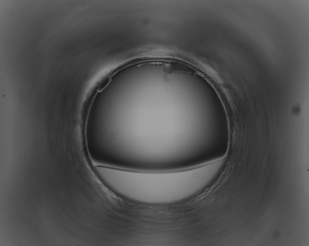 X0000095681464200801081052