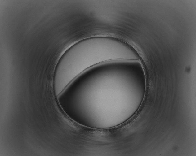 X0000095681465200801081052