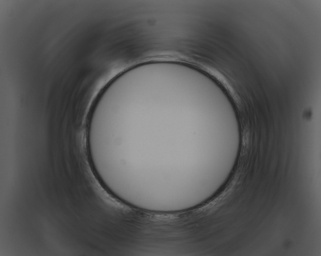 X0000095681466200801081052
