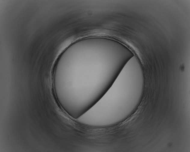 X0000095681467200801081052