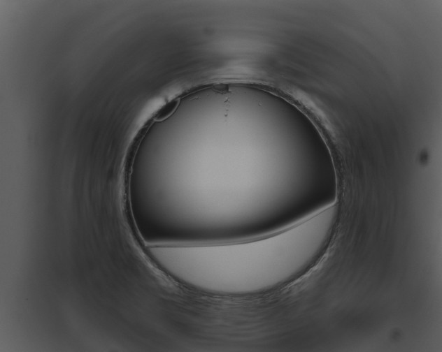 X0000095681469200801081052