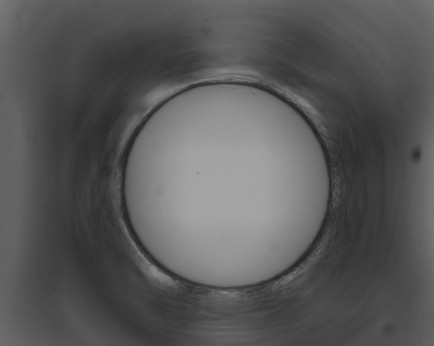 X0000095681470200801081052