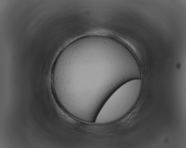X0000095681471200801081052