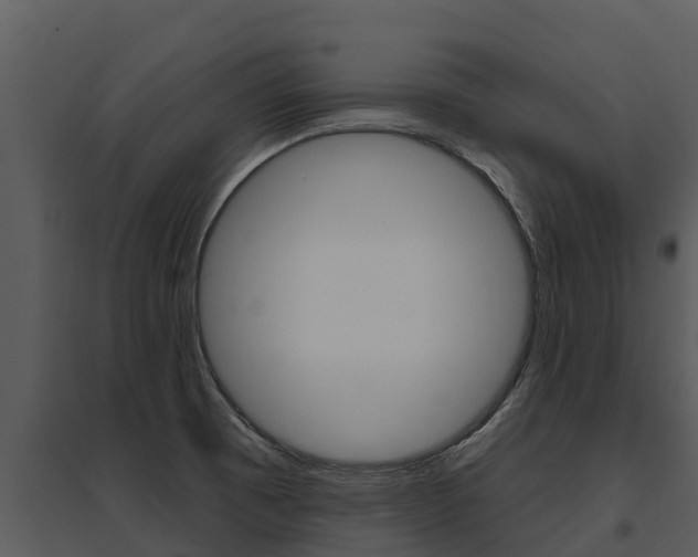 X0000095681473200801081052