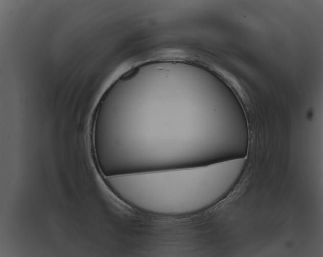 X0000095681475200801081052