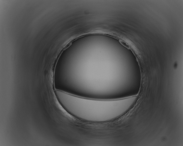 X0000095681476200801081052