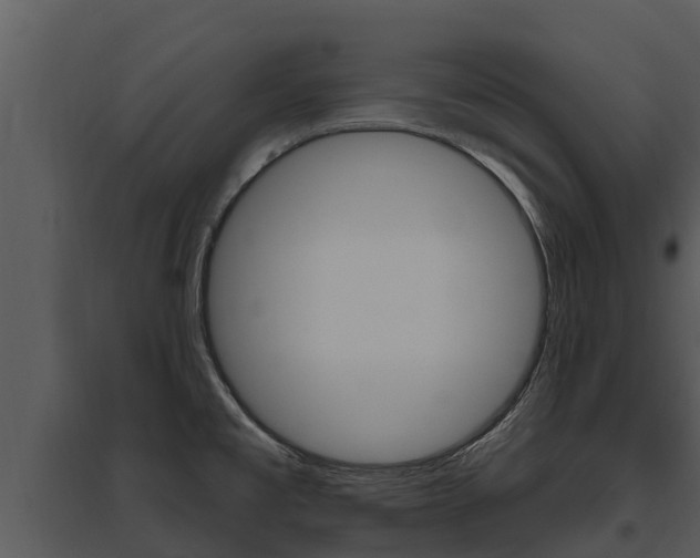 X0000095681477200801081052