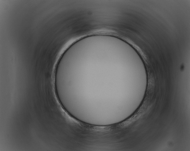 X0000095681478200801081052