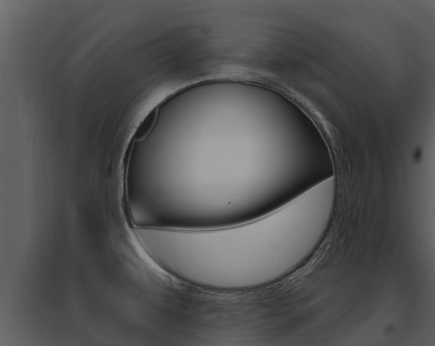 X0000095681479200801081051