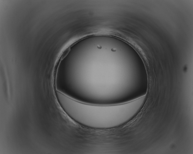 X0000095681480200801081051