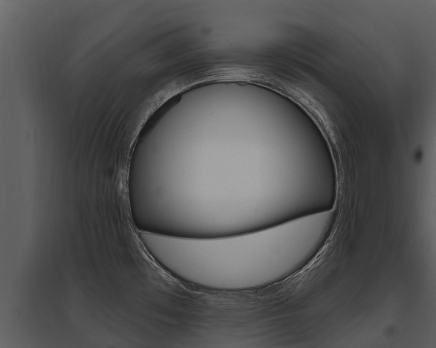 X0000095681481200801081051
