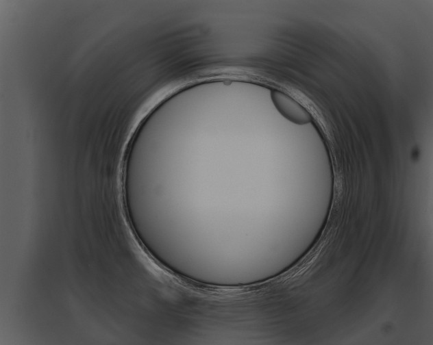X0000095681482200801081051