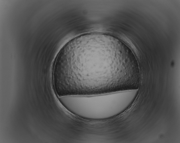 X0000095681483200801081051
