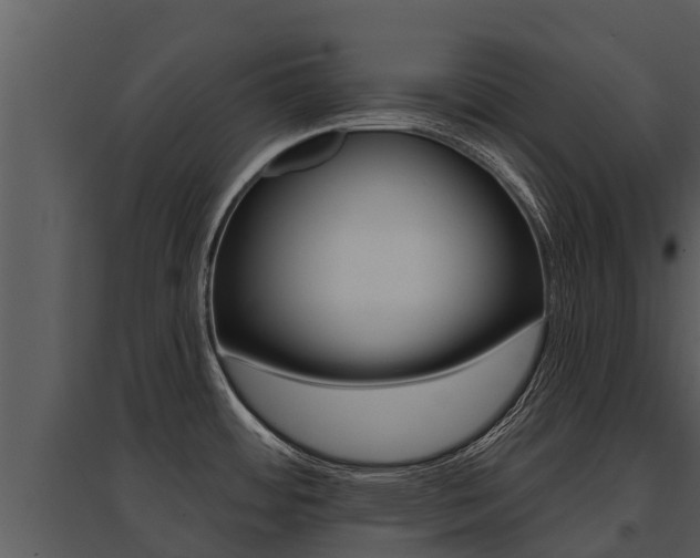 X0000095681484200801081051
