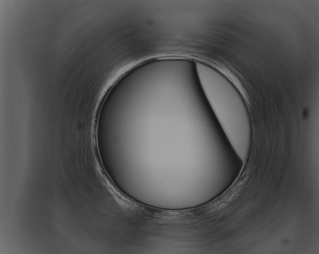 X0000095681485200801081051