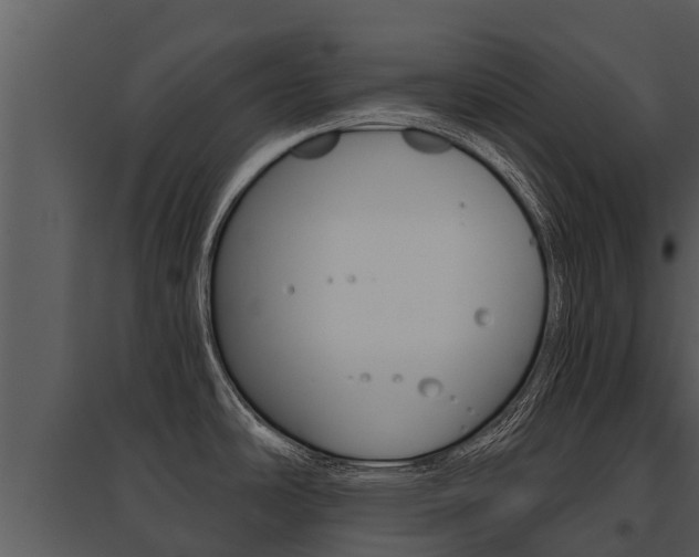 X0000095681486200801081051