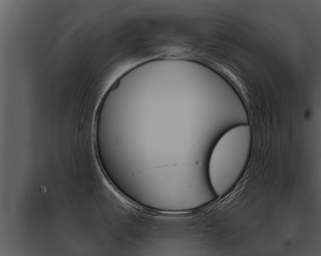 X0000095681487200801081051
