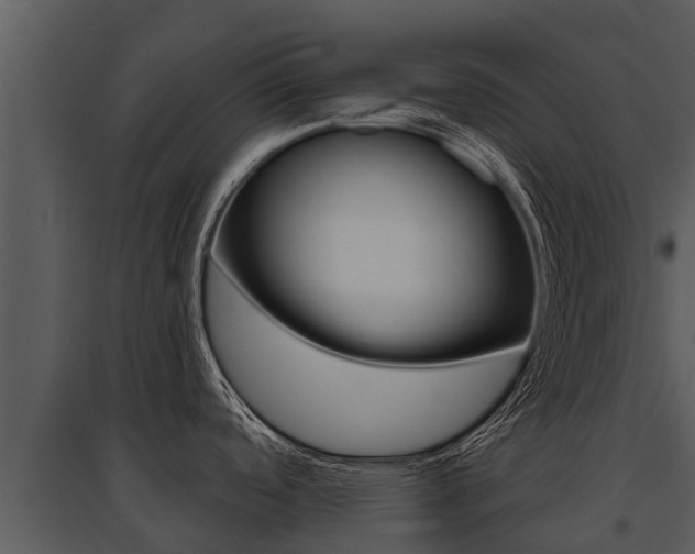 X0000095681488200801081051