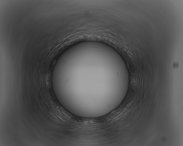 X0000095681490200801081051