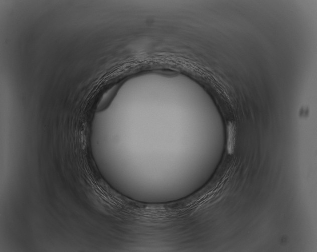 X0000095681491200801081051