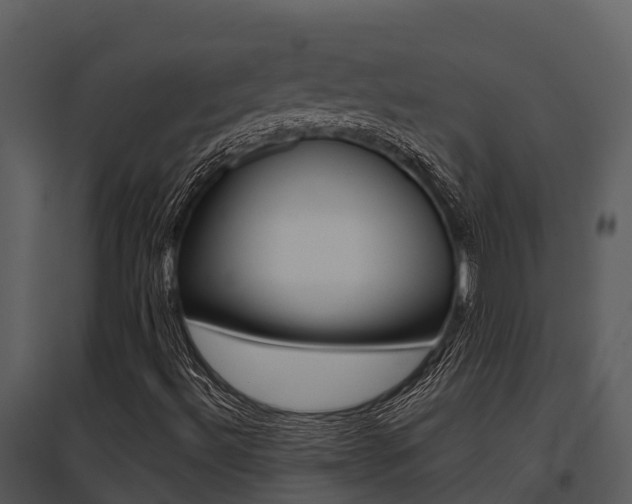 X0000095681492200801081051