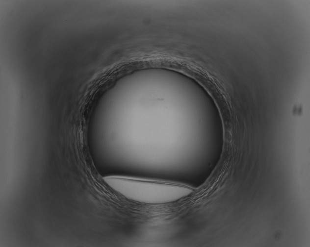 X0000095681493200801081051