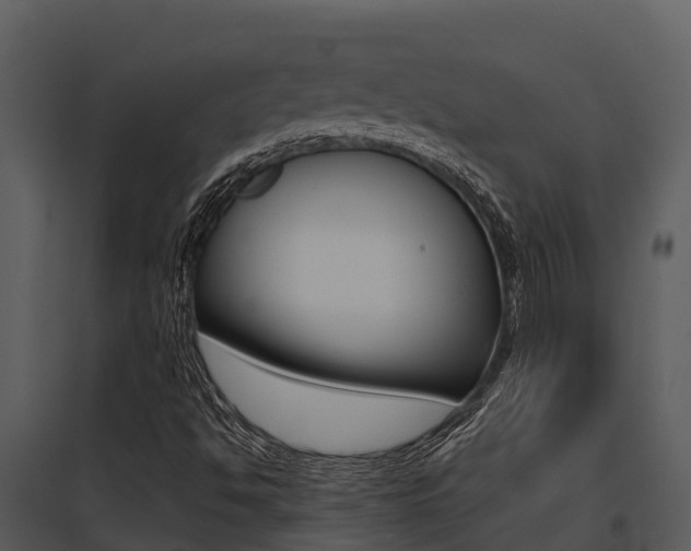 X0000095681494200801081051