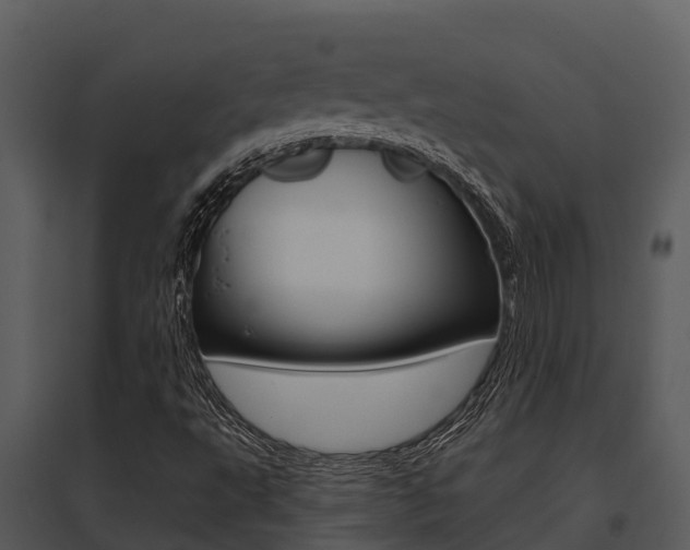 X0000095681495200801081051