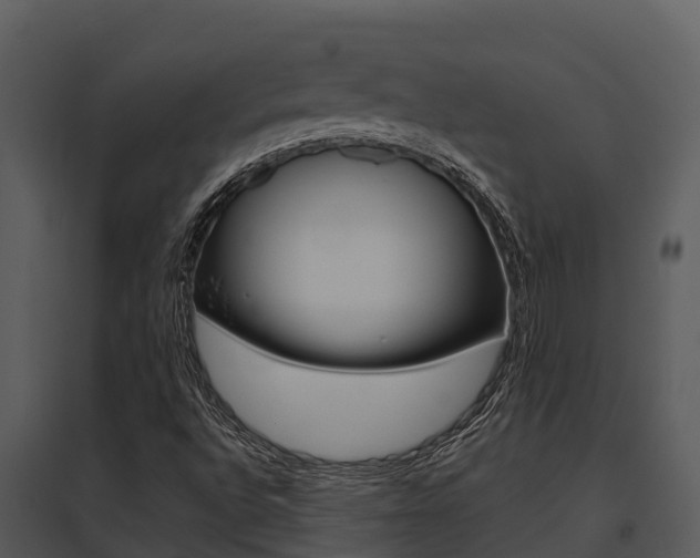 X0000095681496200801081051